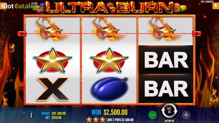 Tips Terbaik Meningkatkan Peluang Menang di Slot Ultra Burn